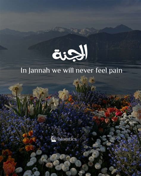 Islam Quotes Jannah