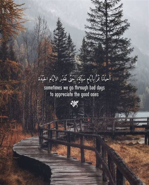 Islam Quotes Nature