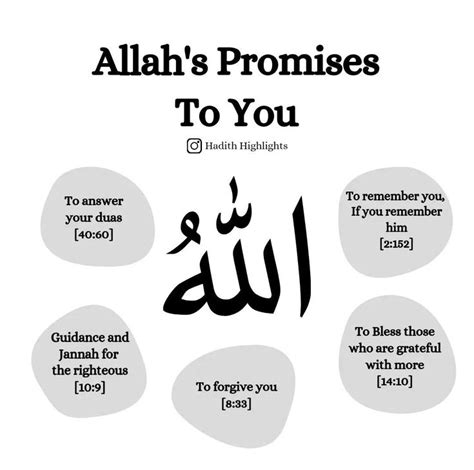 Islamic Daily Reminder Quotes