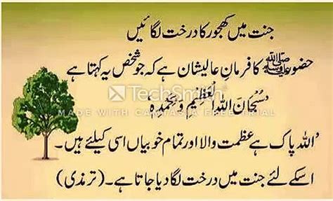 Islamic Hadees Images