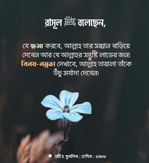 Islamic Hadith Quotes In Bangla