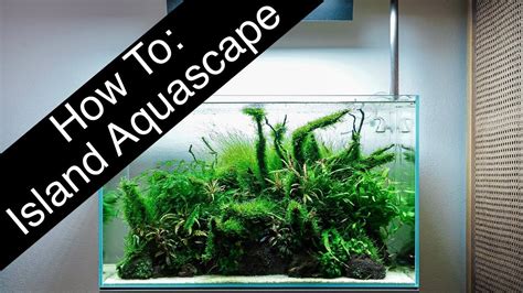 Island Style Aquascape