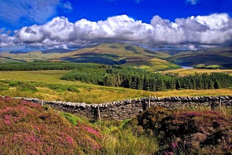 Isle of Man Viking & Castle Shore Excursion: A Detailed Review