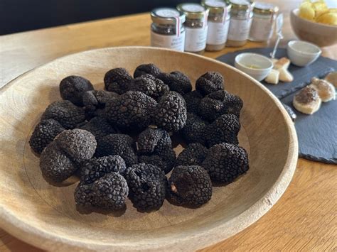 Istria Truffle Tasting