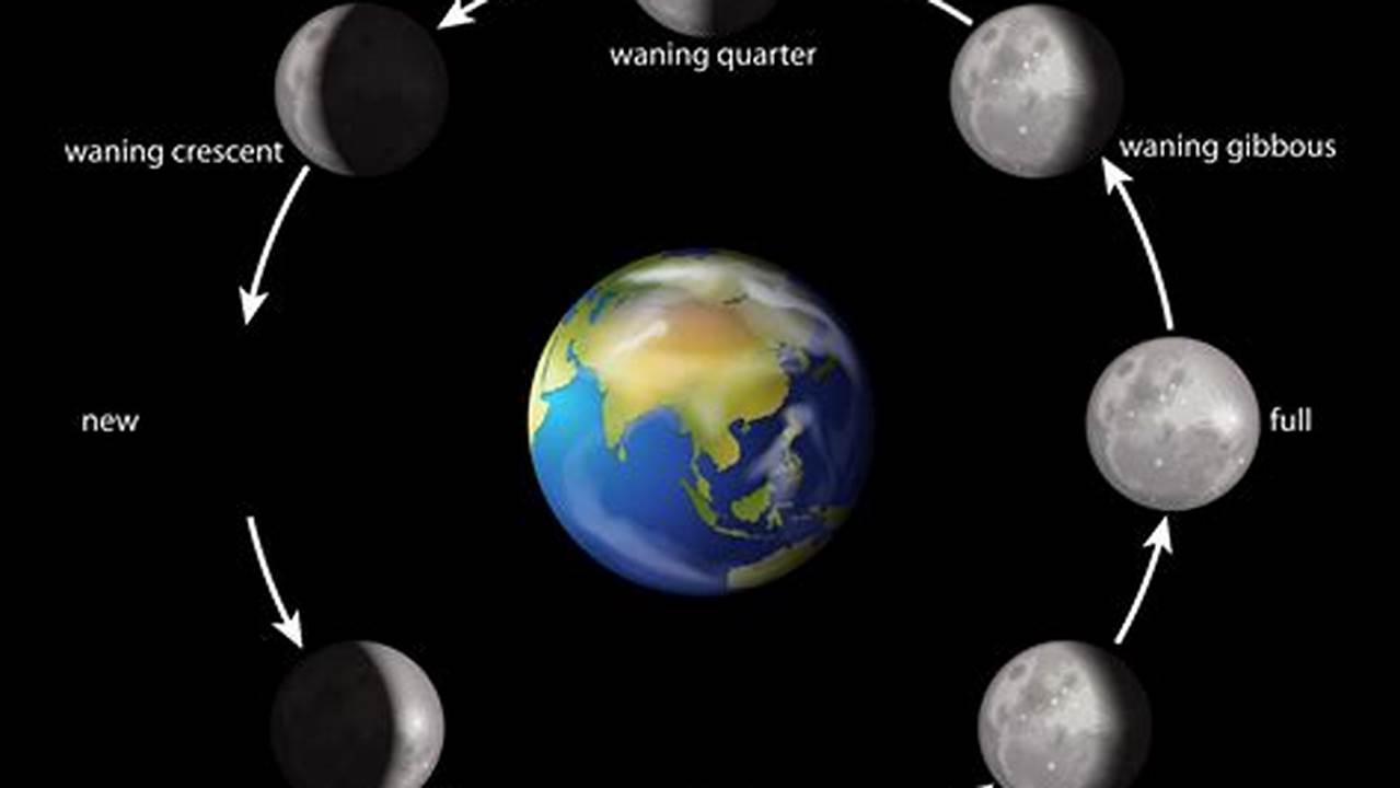 It Takes 29.53 Days For The Moon To Orbit The Earth And Go Through The Lunar Cycle Of All 8 Moon Phases., 2024