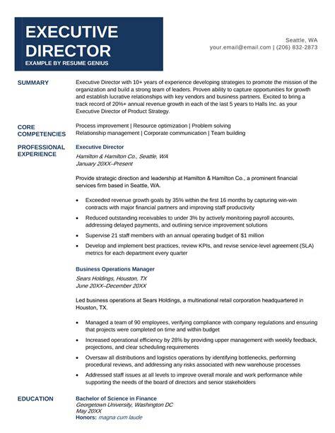It Director Resume Sample
