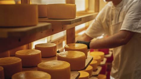 Italian Cheesemaker