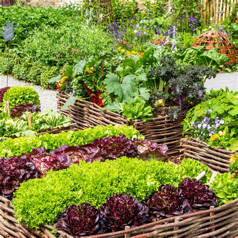 Italian vegetable garden