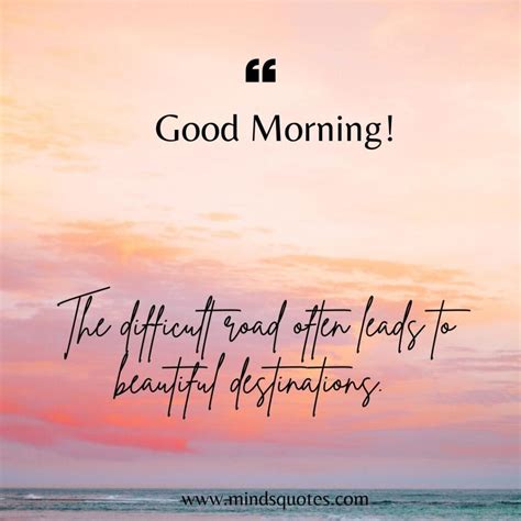 Rise and Shine to a Majestic Morning: Embrace the Beauty of a New Day