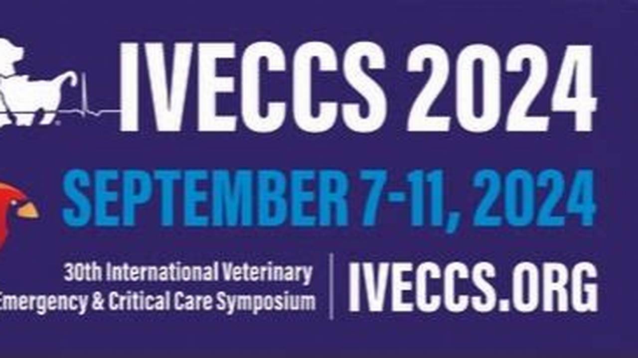 Iveccs 2024 Conference Hall