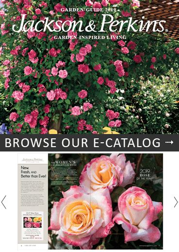 Jackson And Perkins Catalog Request