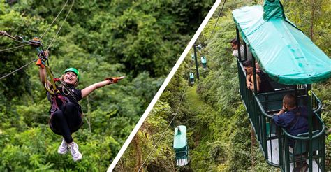 Jaco Tranopy Tour zip lining