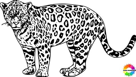Jaguar Ausmalen