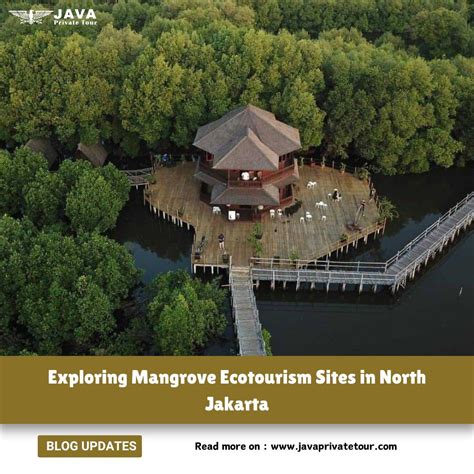 Jakarta Mangrove Tour Guide