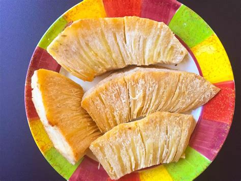 Jamaican Breadfruit