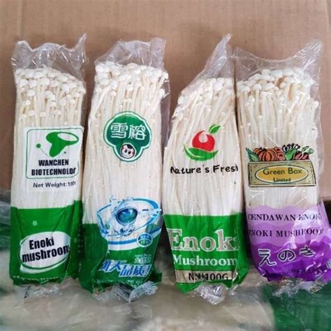 Jamur Enoki 1