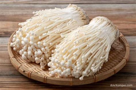 Jamur Enoki 2