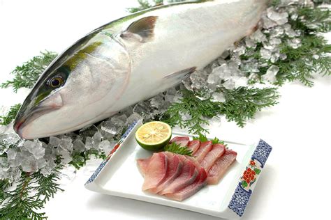 Japan Fish