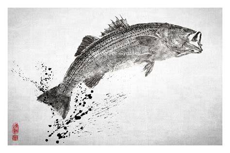 Japan Fish Art