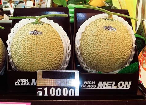 Japan Fruit Expensive