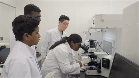 Japan Global Partnerships