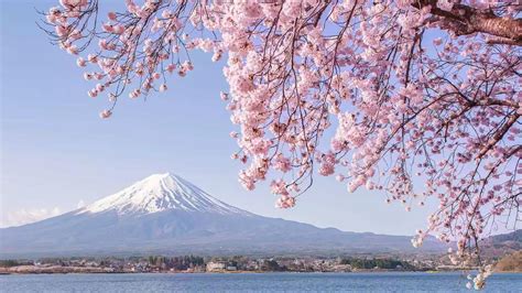Discover the Enchanting Beauty of Japan: A Visual Journey Through the Land of the Rising Sun