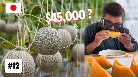 Japan Most Expensive Fruit