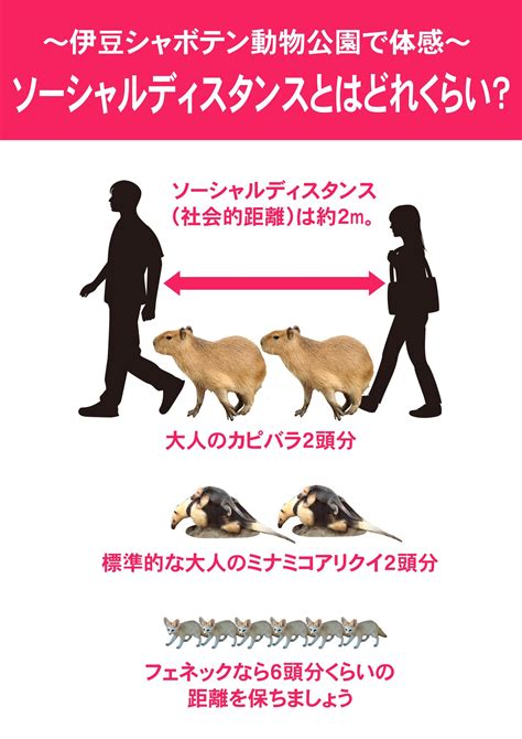 Japan Zoo Social Distancing