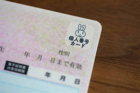 日本のデジタル番号管理システムのイメージ