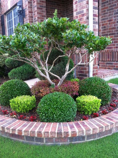 Japanese Boxwood Landscaping — Randolph Indoor and Outdoor Design