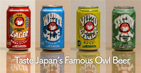 Japanese Beer Owl