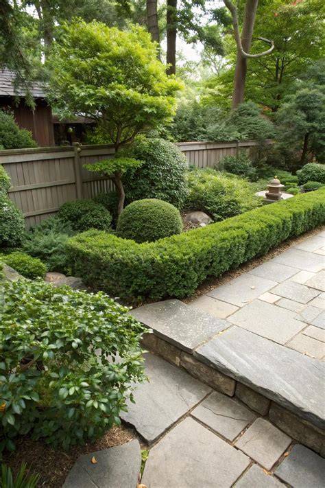 Japanese Boxwood Landscaping: Tips And Tricks For A Beautiful Garden