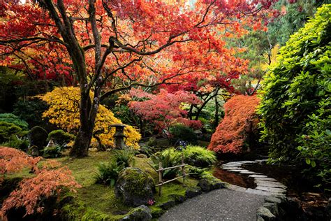 Japanese Gardens