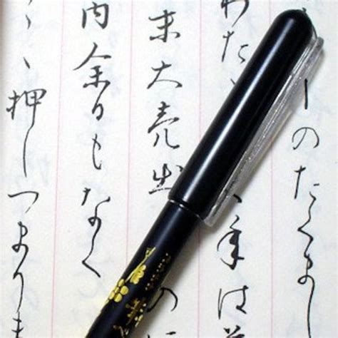 Japanese Pen with Kanji
