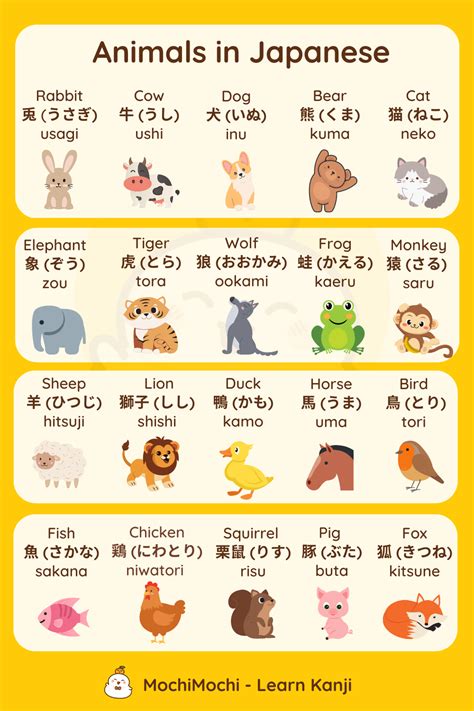 Japanese Vocabulary