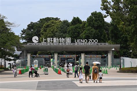 Japanese Zoo