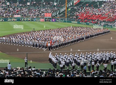 高校野球の練習風景