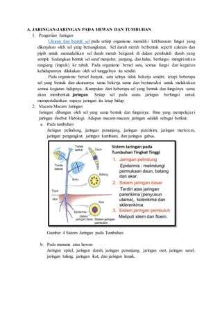 Jaringan Pada Hewan: Mengenal Sistem-Sistem Yang Mempertahankan Hidupnya