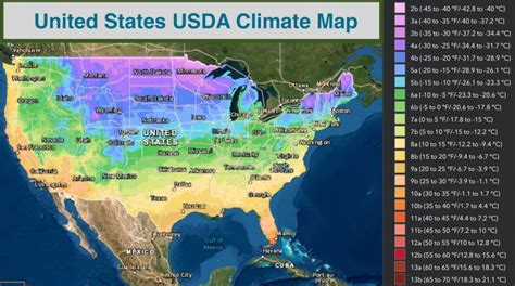 Jasmine Climate Zones