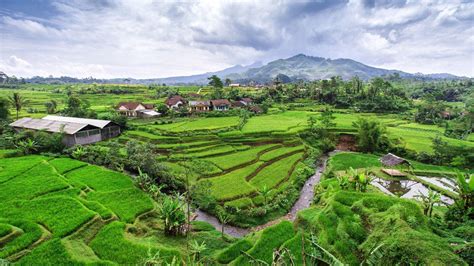 Java Indonesia landscape