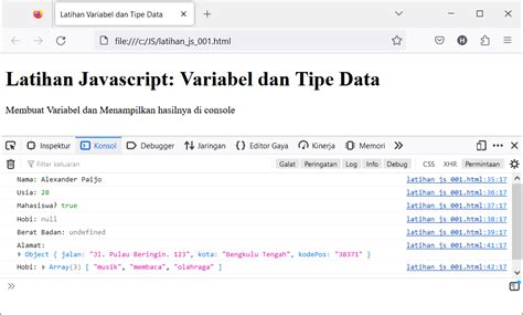 Javascript: Variabel & Tipe Data untuk Pemula