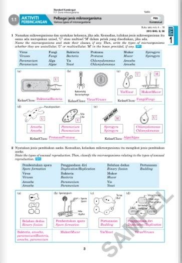 Jawapan Science Process Skills Tingkatan 1