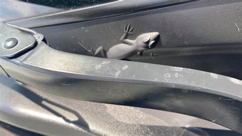 Jeep Lizard Easter Egg