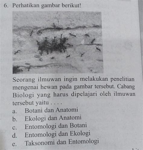 Jelaskan Empat Cabang Biologi yang Diterapkan dalam Bidang Peternakan