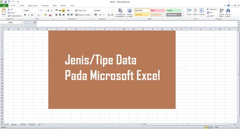 Jelaskan Tipe Data Pada Microsoft Excel