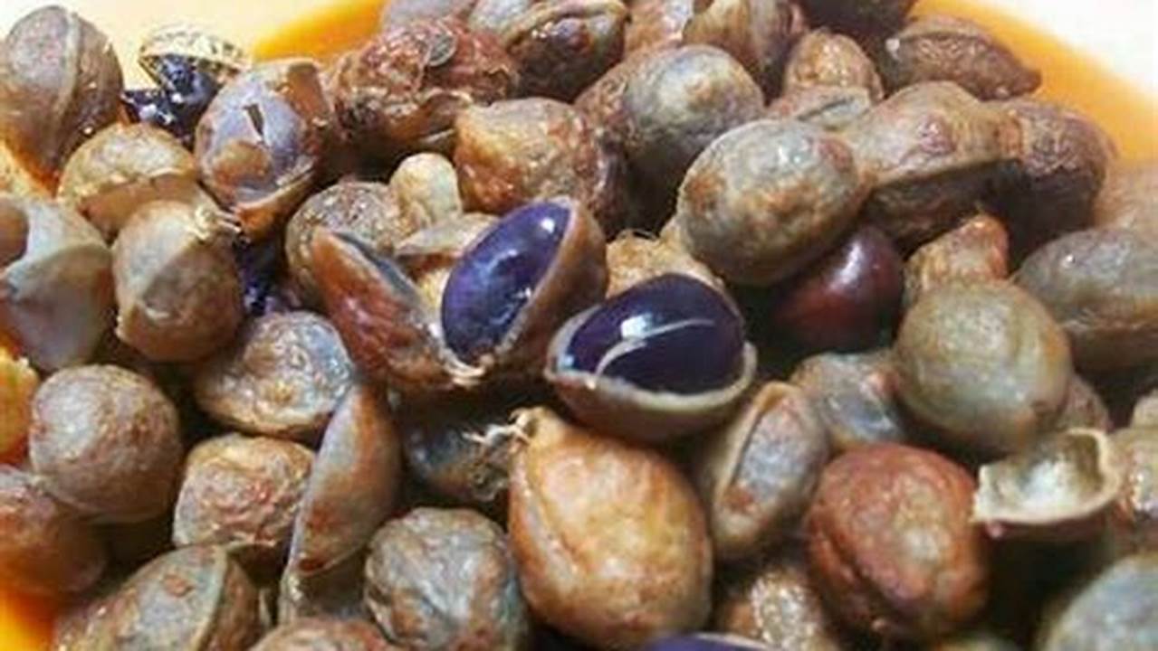 Jenis Kacang Yang Digunakan, Resep6-10k