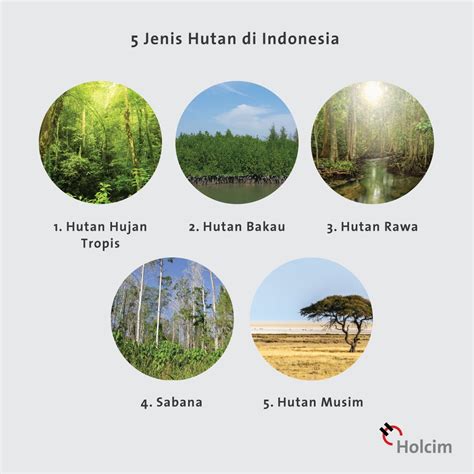 Jenis Hutan
