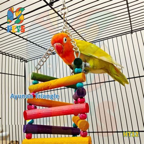 Jenis Mainan Lovebird