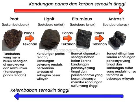 Jenis-Jenis Batubara