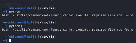 Jenkins Python Command Not Found